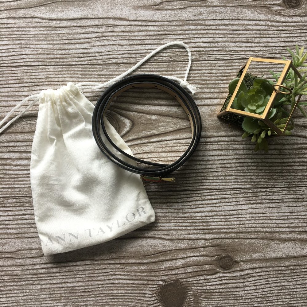 Ann Taylor | Vegan Leather Skinny Belt